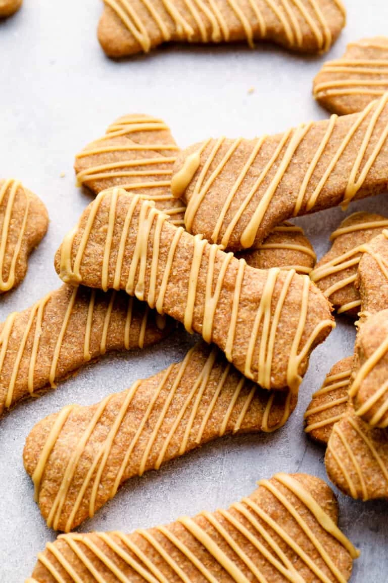96994482-dog-treat-recipe.webp